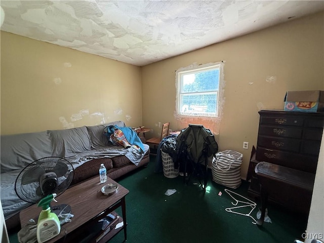 352 S Real St, Cape Vincent, NY 13618 - view of living area