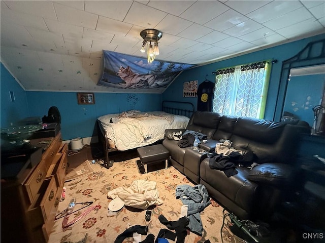 352 S Real St, Cape Vincent, NY 13618 - bedroom featuring lofted ceiling and wood finished floors