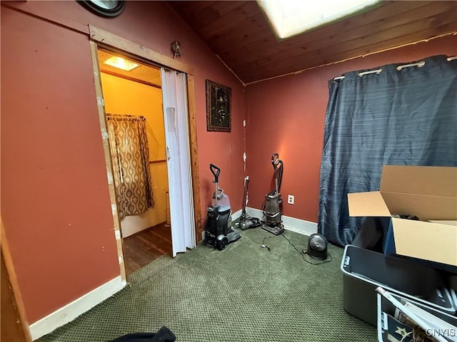 352 S Real St, Cape Vincent, NY 13618 - workout room with carpet floors and vaulted ceiling
