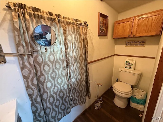 352 S Real St, Cape Vincent, NY 13618 - full bathroom featuring wood finished floors and toilet