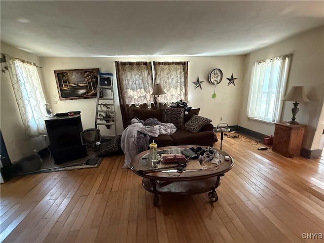 352 S Real St, Cape Vincent, NY 13618 - living room featuring healthy amount of natural light and hardwood / wood-style flooring
