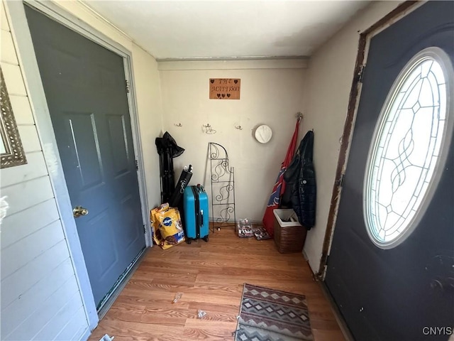 352 S Real St, Cape Vincent, NY 13618 - entrance foyer featuring light wood-type flooring