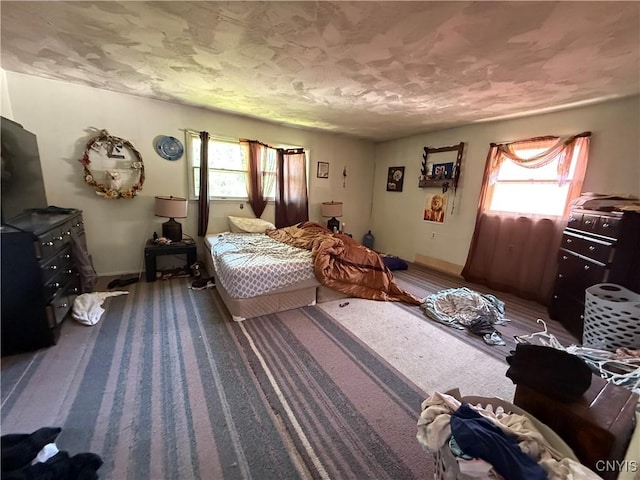 352 S Real St, Cape Vincent, NY 13618 - carpeted bedroom with multiple windows