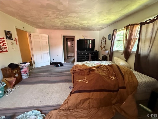352 S Real St, Cape Vincent, NY 13618 - living room with carpet flooring