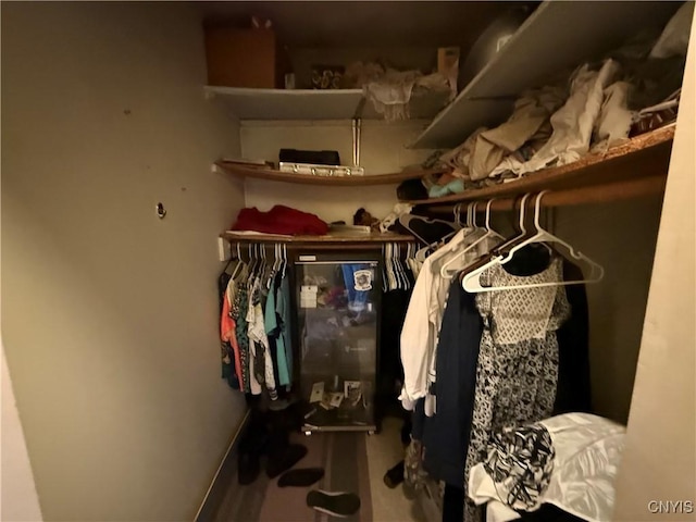 352 S Real St, Cape Vincent, NY 13618 - view of walk in closet