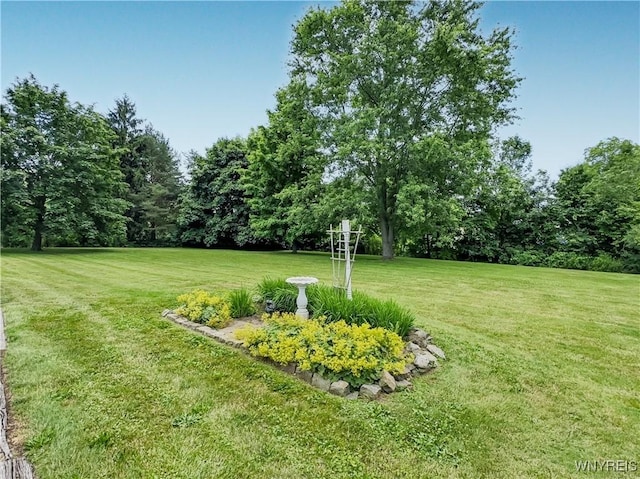 1030 Saunders Sett Rd, Lewiston, NY 14305 - photo 17