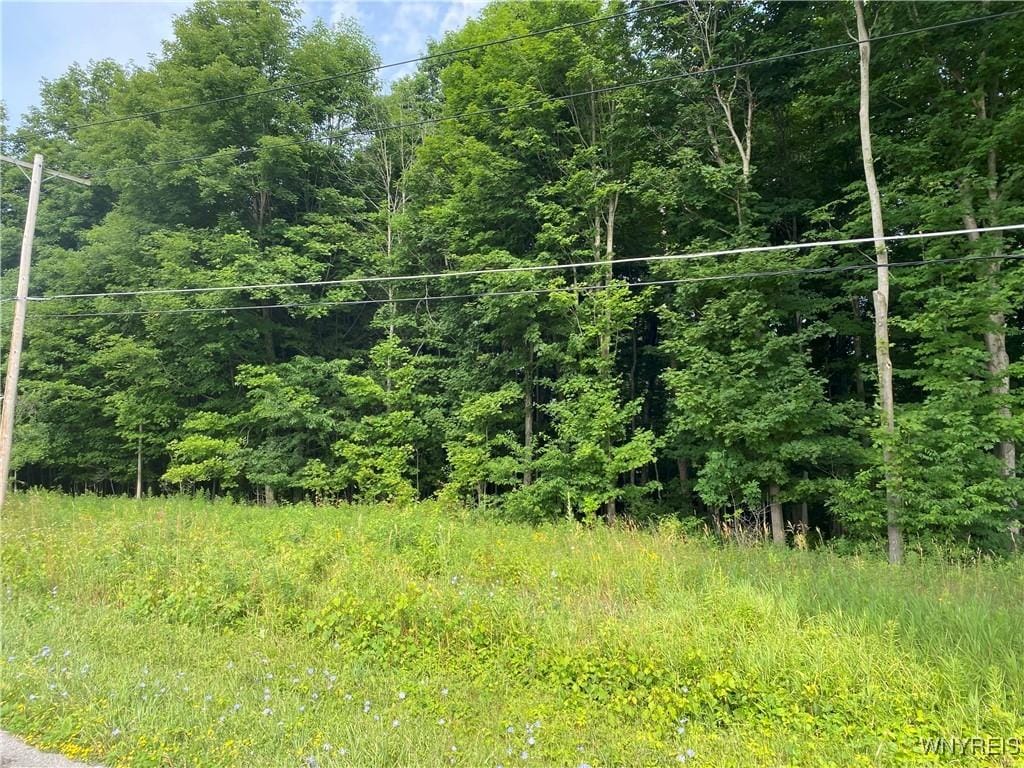 VL S Lake Rd, Pembroke, NY 14036