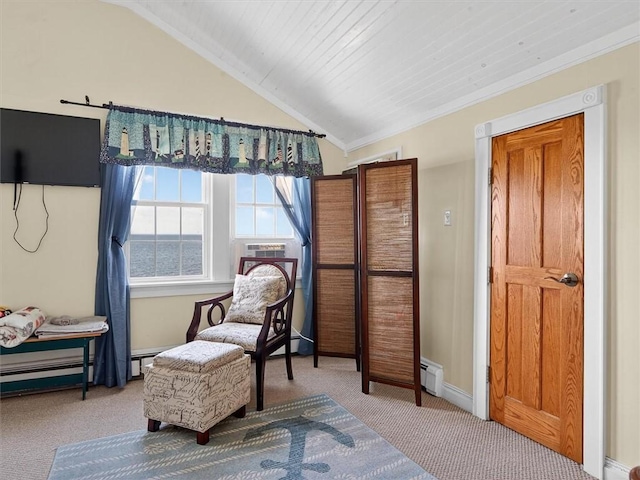 5631 W Blf, Newfane, NY 14126 - living area with carpet floors, a baseboard heating unit, and lofted ceiling