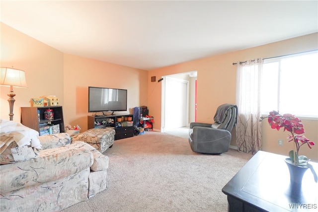 1104 Netherton Ct, Amherst, NY 14051 - view of carpeted living room