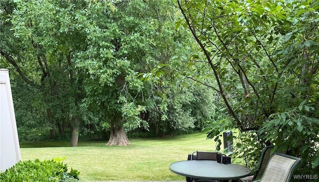 1104 Netherton Ct, Amherst, NY 14051 - view of grassy yard