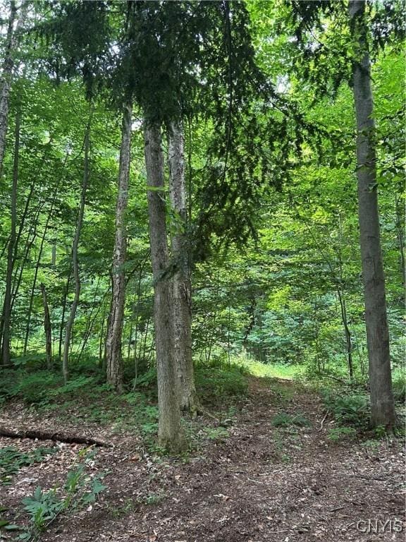 0 Millard Bassett Rd, Granby, NY 13069 - photo 10