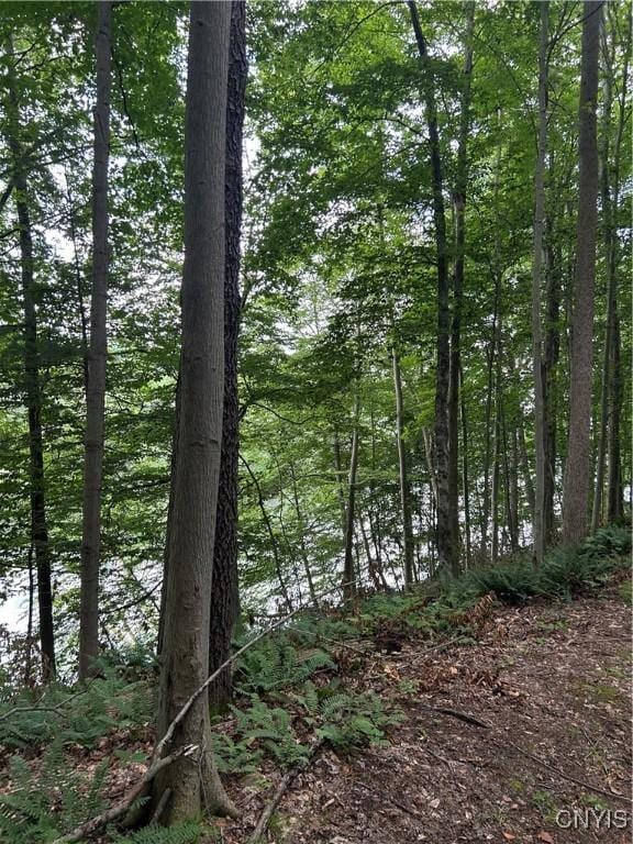 0 Millard Bassett Rd, Granby, NY 13069 - photo 12
