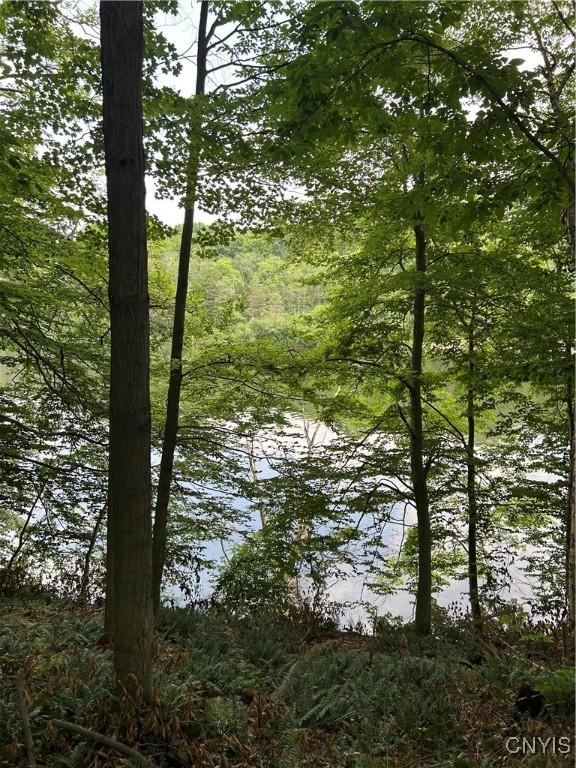 0 Millard Bassett Rd, Granby, NY 13069 - photo 4