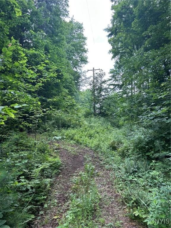 0 Millard Bassett Rd, Granby, NY 13069 - photo 5