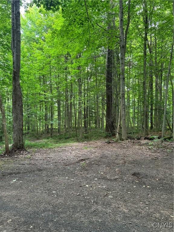 0 Millard Bassett Rd, Granby, NY 13069 - photo 6