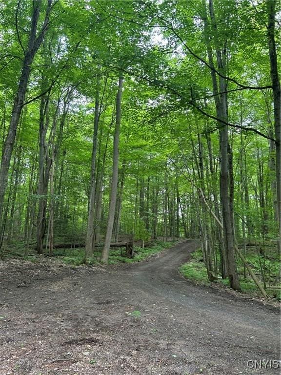 0 Millard Bassett Rd, Granby, NY 13069 - photo 7