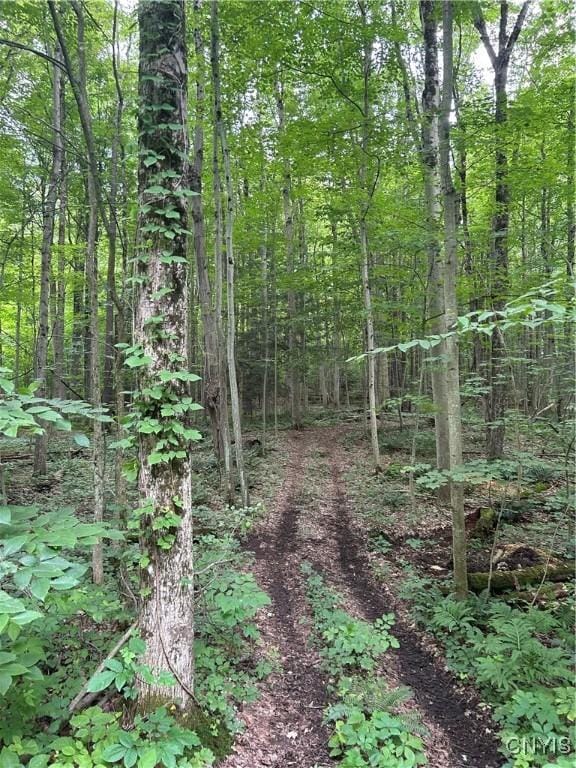 0 Millard Bassett Rd, Granby, NY 13069 - photo 8