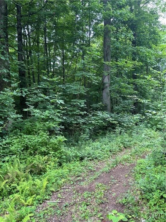 0 Millard Bassett Rd, Granby, NY 13069 - photo 9