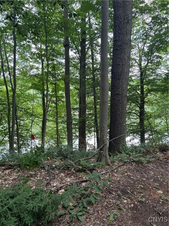 0 Millard Bassett Rd, Granby, NY 13069 - photo 13