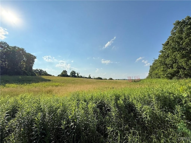 2359 Sands Rd, Camillus, NY 13031 - view of local wilderness featuring rural landscape