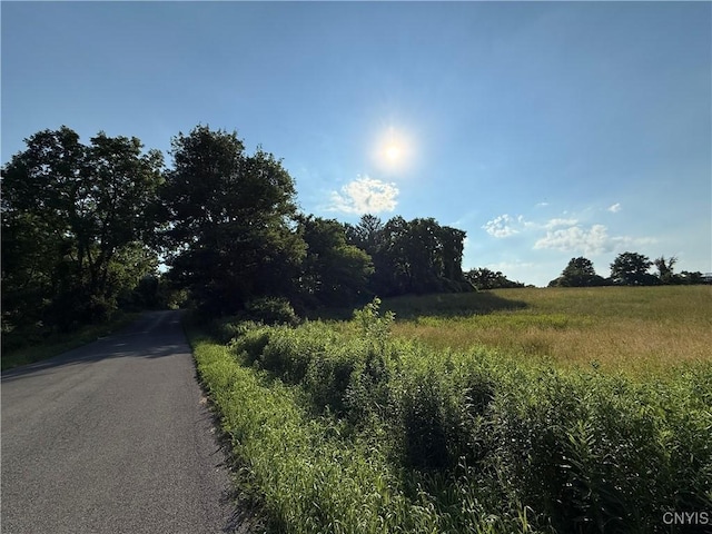 2359 Sands Rd, Camillus, NY 13031 - view of asphalt street
