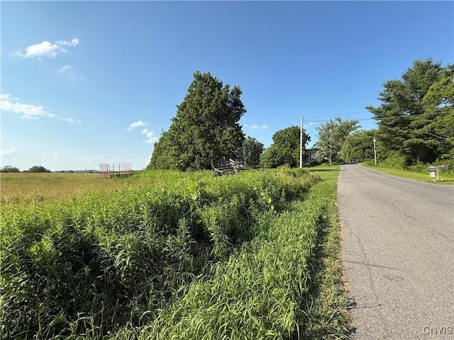 2359 Sands Rd, Camillus, NY 13031 - view of asphalt street featuring a view of rural / pastoral area