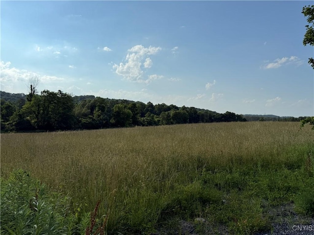 2359 Sands Rd, Camillus, NY 13031 - view of undeveloped land featuring rural landscape