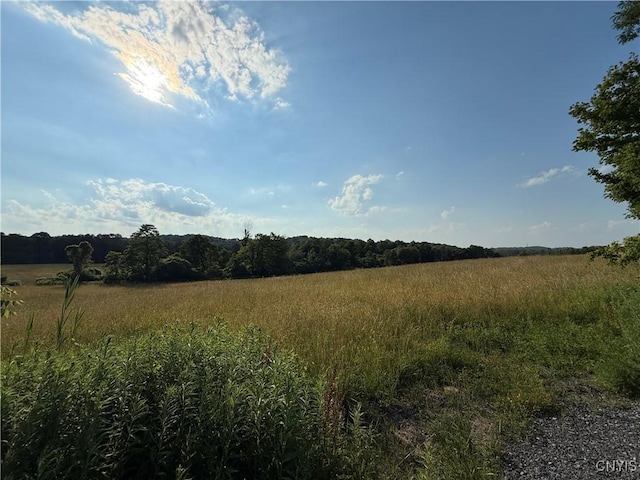 2359 Sands Rd, Camillus, NY 13031 - view of nature featuring rural landscape