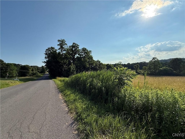 2359 Sands Rd, Camillus, NY 13031 - view of asphalt street