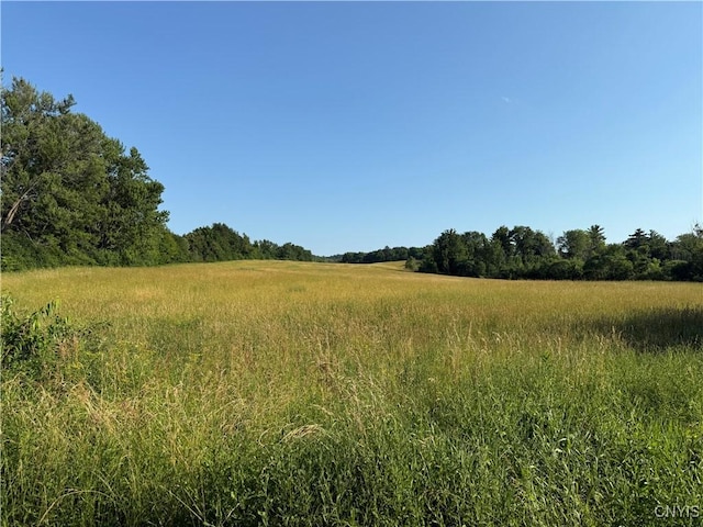2359 Sands Rd, Camillus, NY 13031 - view of local wilderness with rural landscape