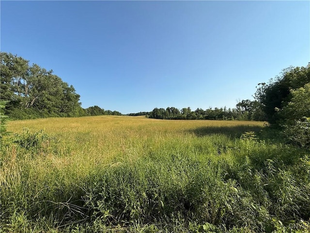 2359 Sands Rd, Camillus, NY 13031 - view of nature with rural landscape