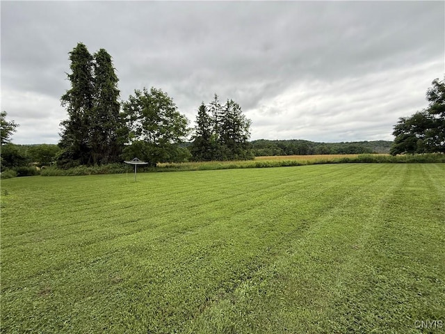 2359 Sands Rd, Camillus, NY 13031 - view of grassy yard