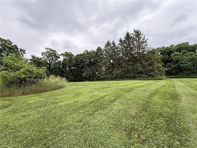 2359 Sands Rd, Camillus, NY 13031 - view of green lawn