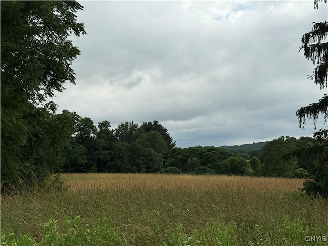 2359 Sands Rd, Camillus, NY 13031 - view of woods
