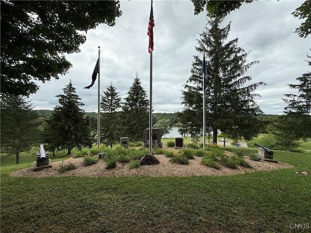 2359 Sands Rd, Camillus, NY 13031 - view of green lawn