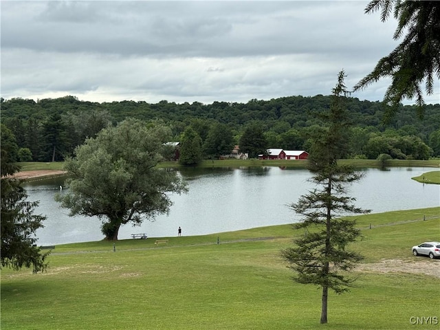 2359 Sands Rd, Camillus, NY 13031 - water view with a forest