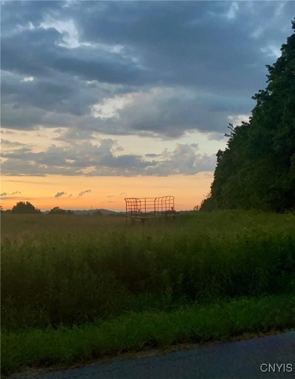 2359 Sands Rd, Camillus, NY 13031 - view of nature at dusk