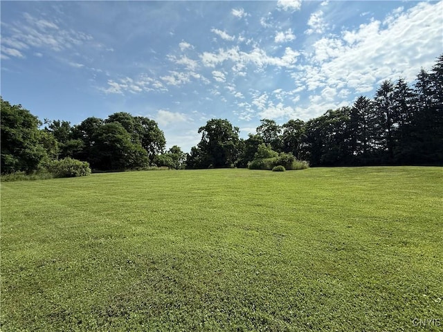 2359 Sands Rd, Camillus, NY 13031 - photo 39