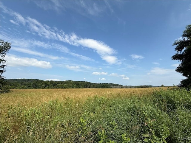 2359 Sands Rd, Camillus, NY 13031 - photo 40