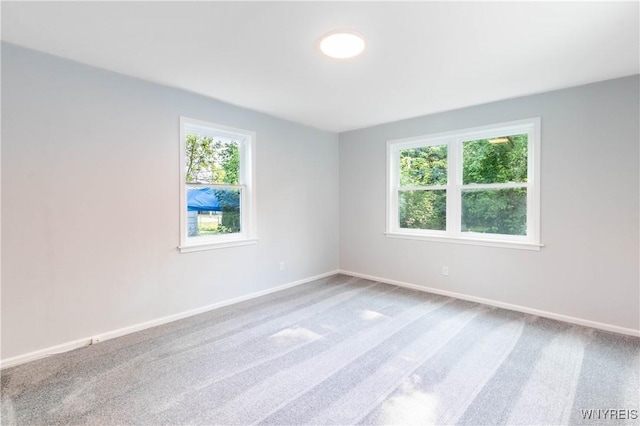 539 Windermere Blvd, Amherst, NY 14226 - unfurnished room with healthy amount of natural light and carpet floors