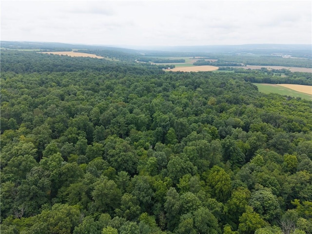 00 Groveland Station Rd, Groveland, NY 14462