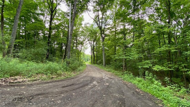 1221 Garden Ln, Middlesex, NY 14507 - view of dirt / gravel road featuring a wooded view