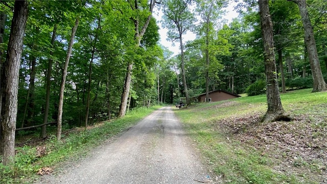 1221 Garden Ln, Middlesex, NY 14507 - view of street featuring a wooded view