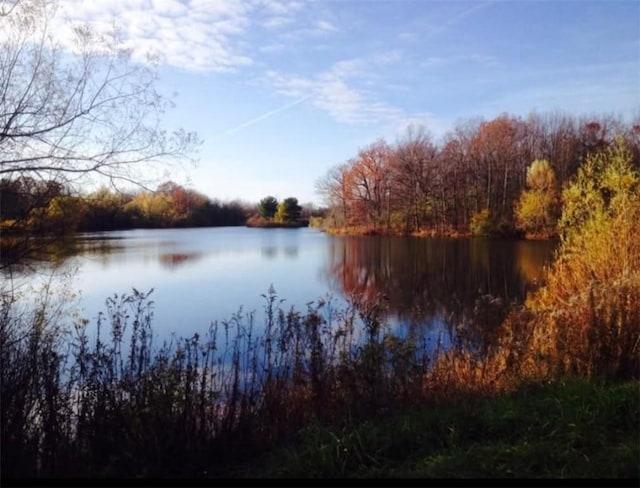 1221 Garden Ln, Middlesex, NY 14507 - photo 45