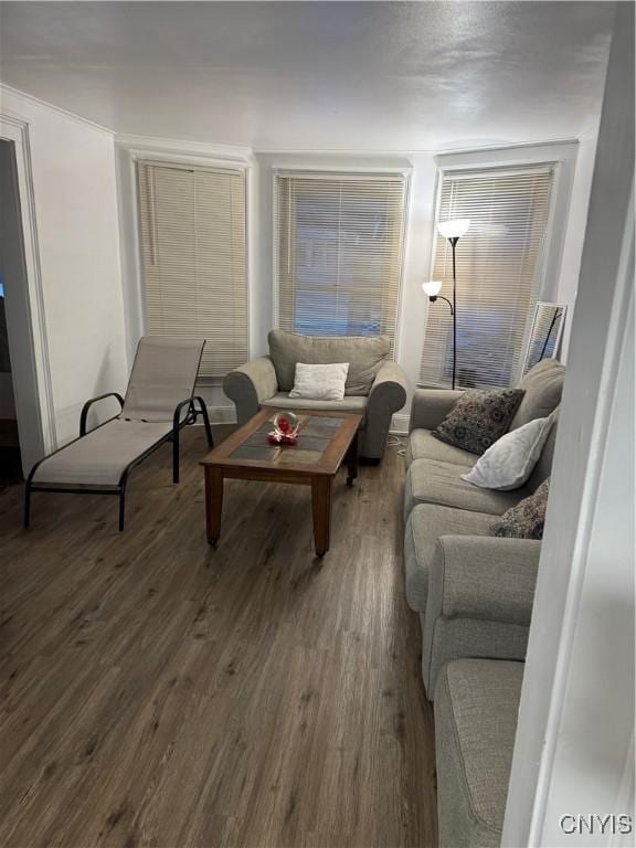 210 Pattison St, Syracuse, NY 13203 - photo 12