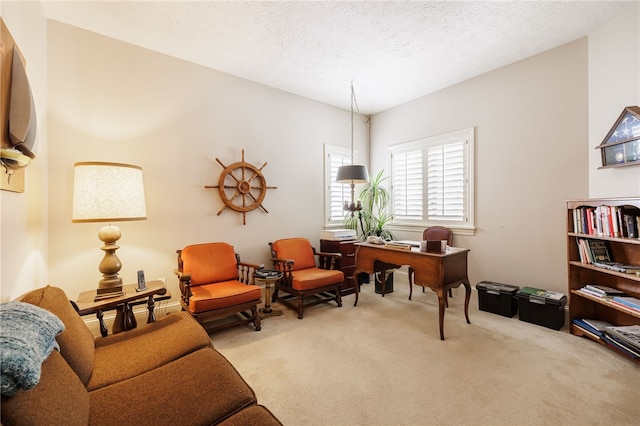 10 Bristol View Dr, Perinton, NY 14450 - living area featuring carpet, a textured ceiling, and a desk