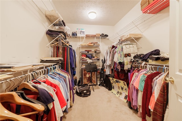 10 Bristol View Dr, Perinton, NY 14450 - walk in closet featuring carpet