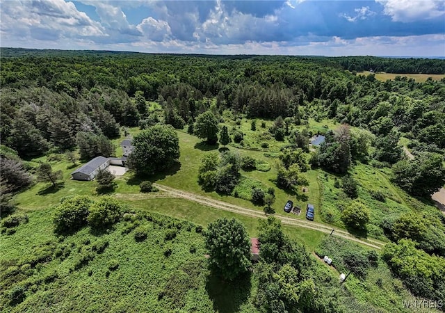 9216 Glinderman Rd, Caneadea, NY 14735 - photo 2
