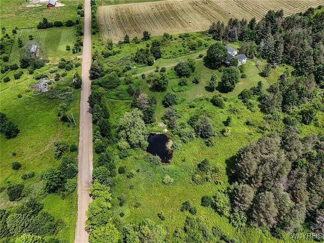 9216 Glinderman Rd, Caneadea, NY 14735 - photo 3