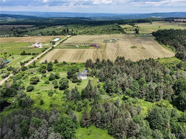 9216 Glinderman Rd, Caneadea, NY 14735 - photo 4